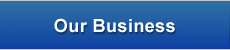 Our Business